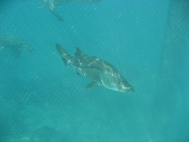 img_3099.jpg