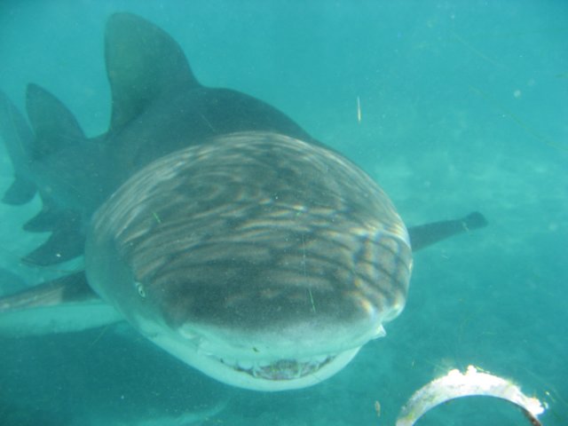 img_3156.jpg
