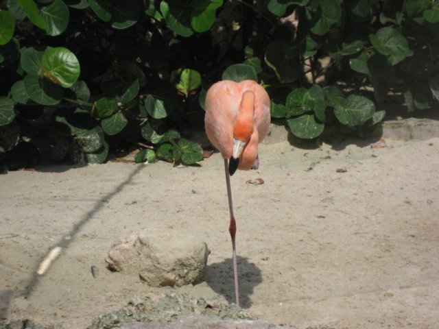 img_3165.jpg