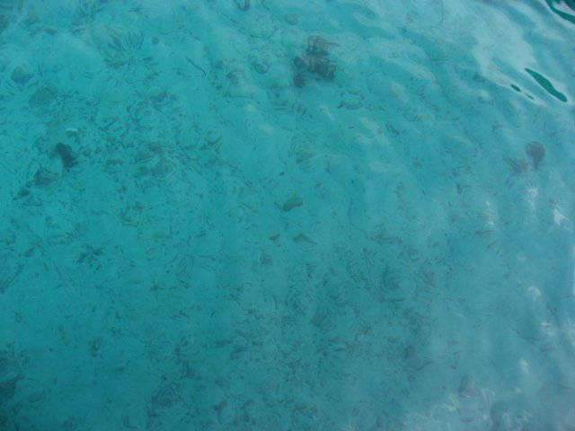 img_3207.jpg