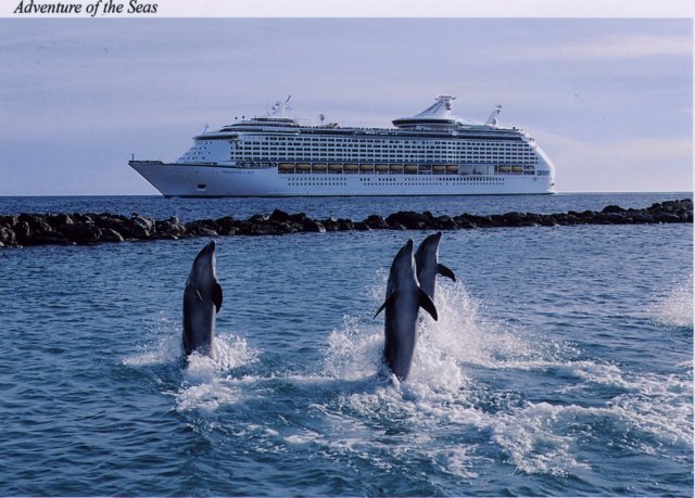 adventuredolphins.jpg